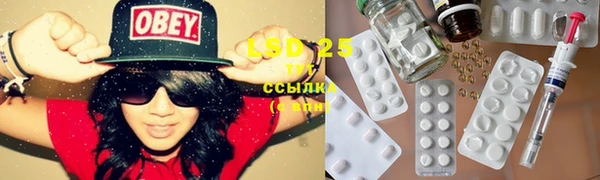 спайс Алзамай