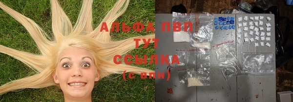 спайс Алзамай
