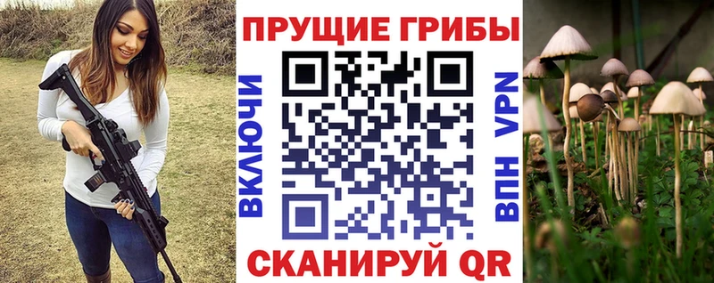 Псилоцибиновые грибы мухоморы Купить Медногорск